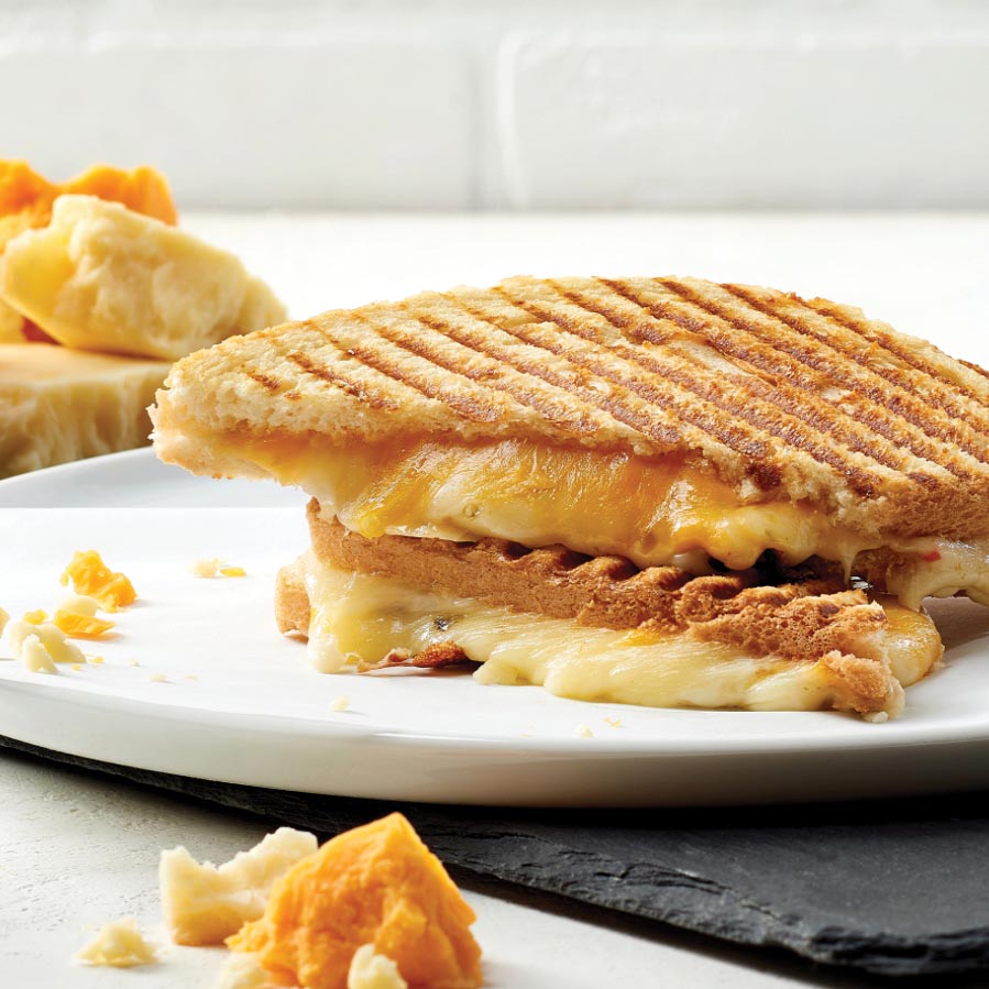 Four Cheese Panini